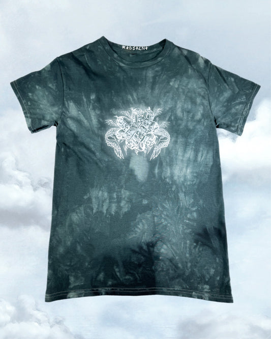 I trust in my ability to overcome challenges and grow stronger (XS)